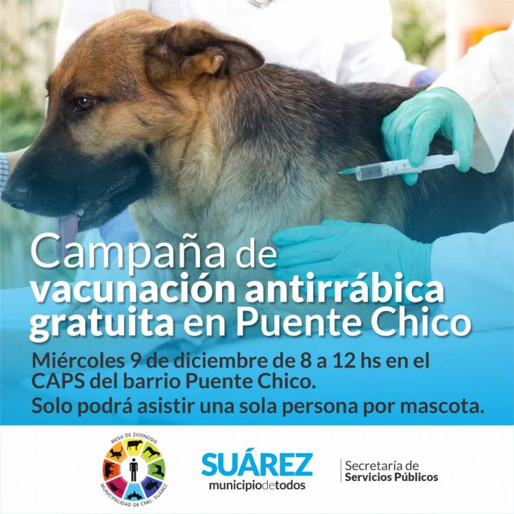 Vacunación antirrábica en barrio Puente Chico