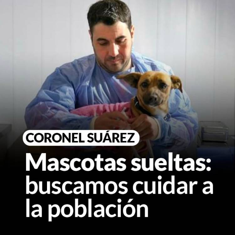 Mascotas sueltas en Suárez: buscamos cuidar a la población