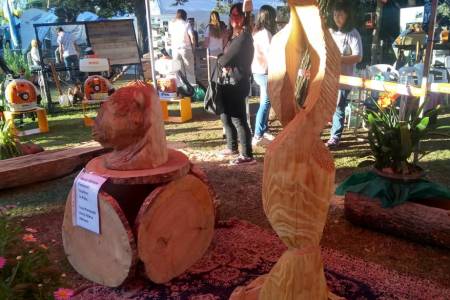 ‘Stihl’ y una propuesta innovadora, el arte en madera