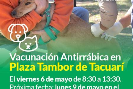 Vacunación antirrábica en Plaza Tambor de Tacuarí