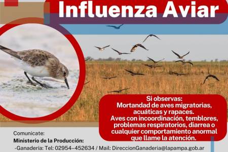 Indicaciones de SENASA para prevenir la Gripe Aviar