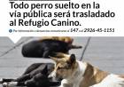 Todo perro suelto en la vía pública será trasladado al Refugio Canino