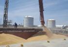 Detectan faltantes de granos por $188 millones en una cerealera de Bahía 