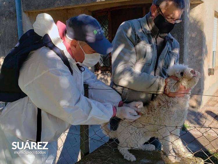 Campaña de Vacunación Antirrábica en Barrio San Cayetano