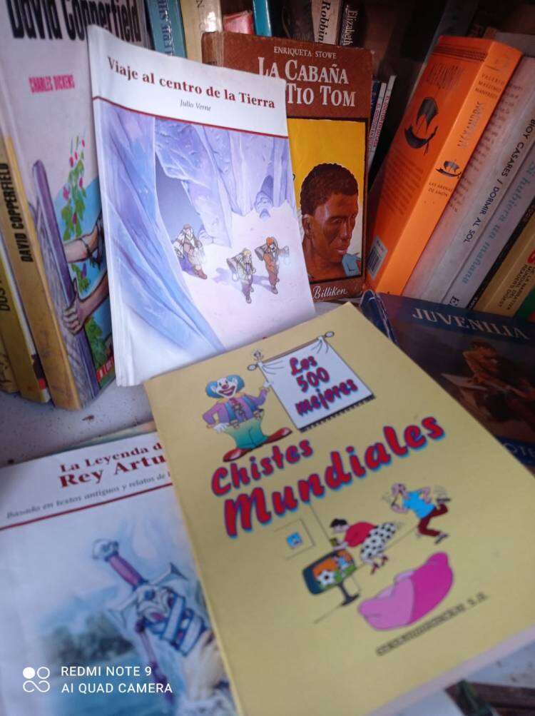 ¿Querés leer? Pasa por Plaza San Martín y encontrarás la casita de la lectura "LEER ES SALUD"