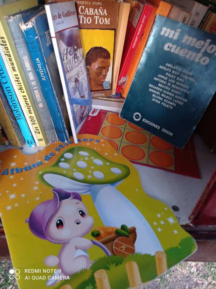 ¿Querés leer? Pasa por Plaza San Martín y encontrarás la casita de la lectura "LEER ES SALUD"