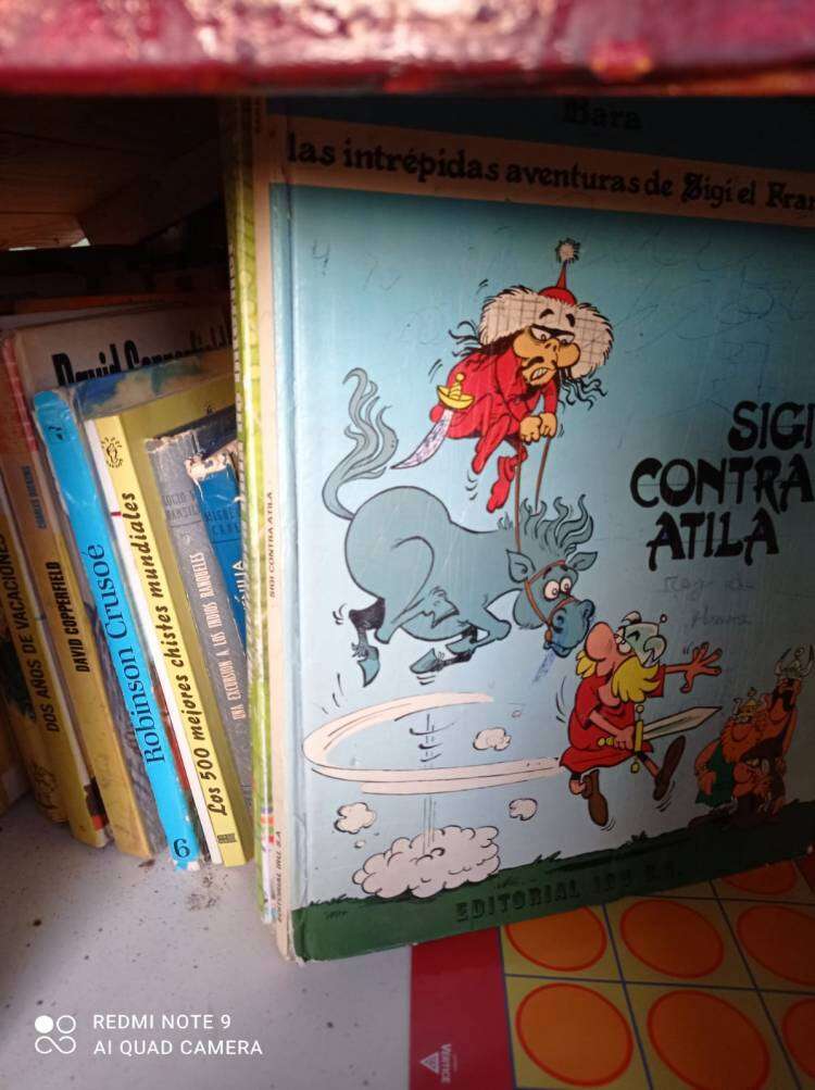 ¿Querés leer? Pasa por Plaza San Martín y encontrarás la casita de la lectura "LEER ES SALUD"