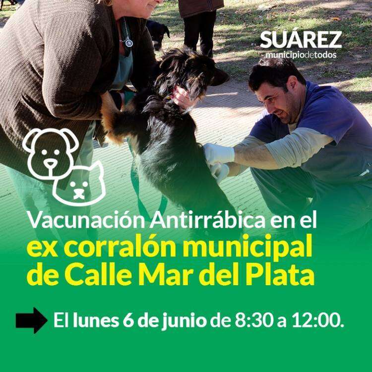 Vacunación antirrábica en el ex corralón municipal de Calle Mar del Plata