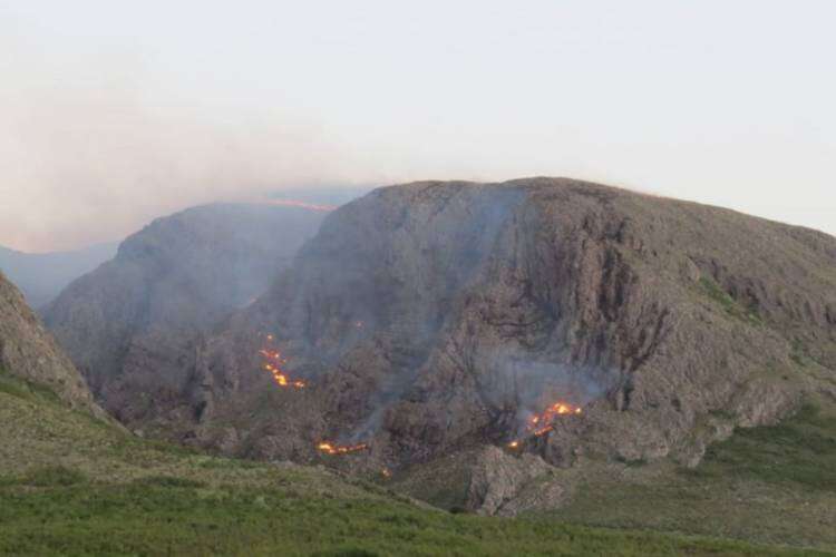 Cómo prevenir incendios en la Comarca Serrana: “Los cortafuegos son un factor clave” 