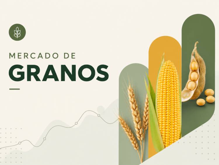Mercado de granos