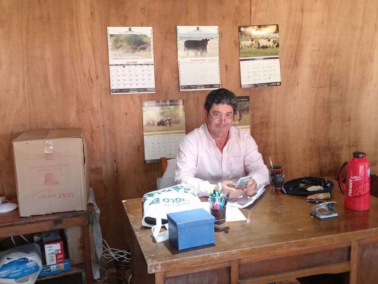 EXPO RURAL 2023: Saenz Valiente, Bullrich y Cia. a cargo del martillo