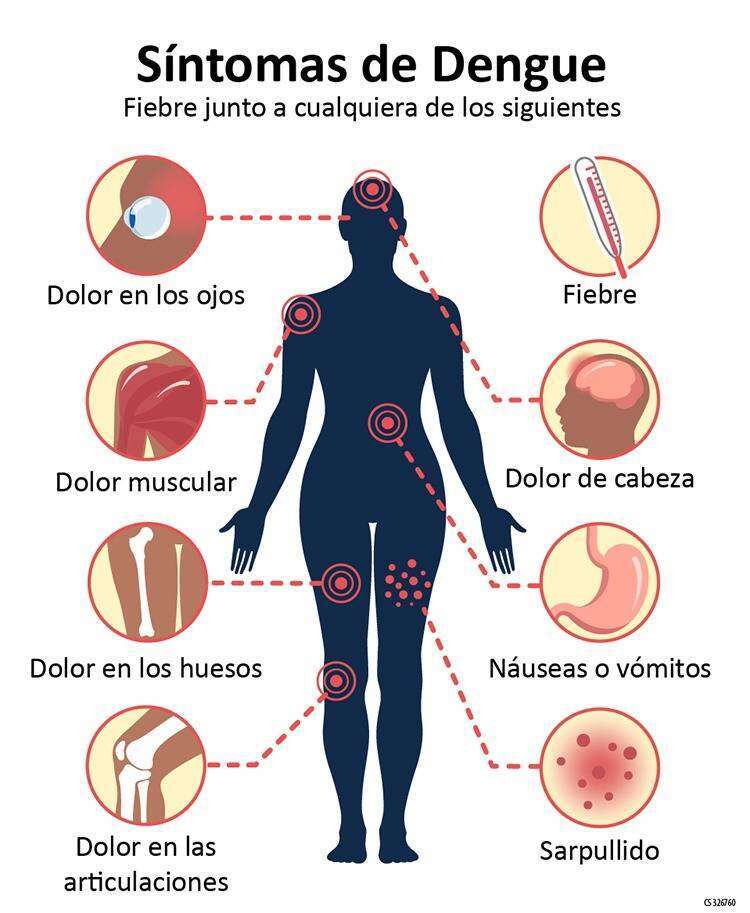 Firpo: “No tenemos certeza aún de que haya Aedes aegypti en la ciudad, pero si no lo hay, prontamente lo va a haber.”