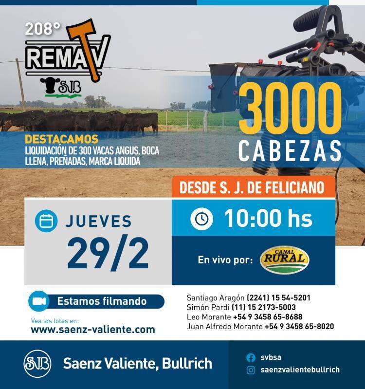 Remate televisado de Saenz Valiente, Bullrich y Cia este jueves 29 de febrero