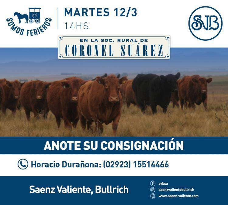 Remate televisado de Saenz Valiente, Bullrich y Cia este jueves 29 de febrero