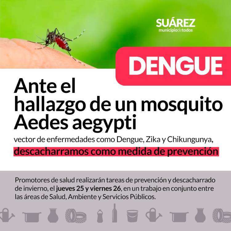 Ante el hallazgo de un mosquito Aedes aegypti vector de enfermedades como Dengue, Zika y Chikungunya, descacharramos como medida de prevención