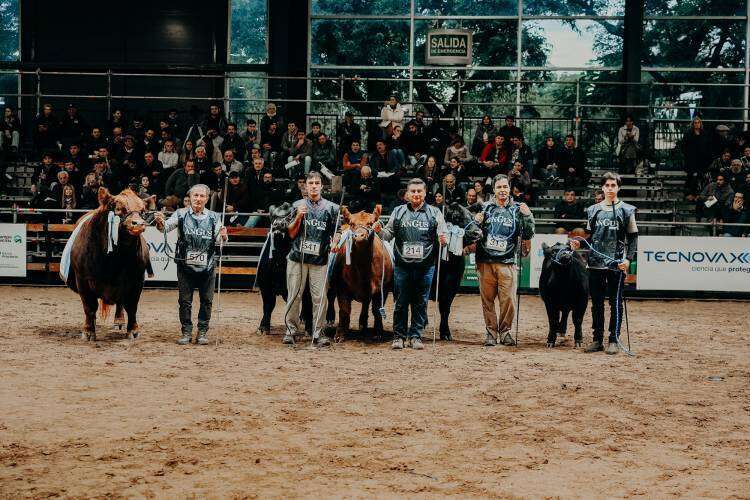 Con una contundente demostración del crecimiento de la raza cerró la 81ª Expo Angus de Otoño