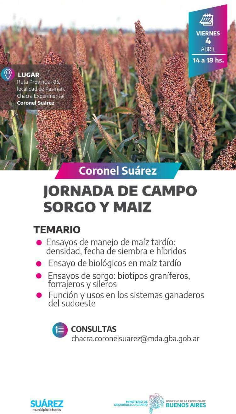 Jornada a campo de Maíz y Sorgo