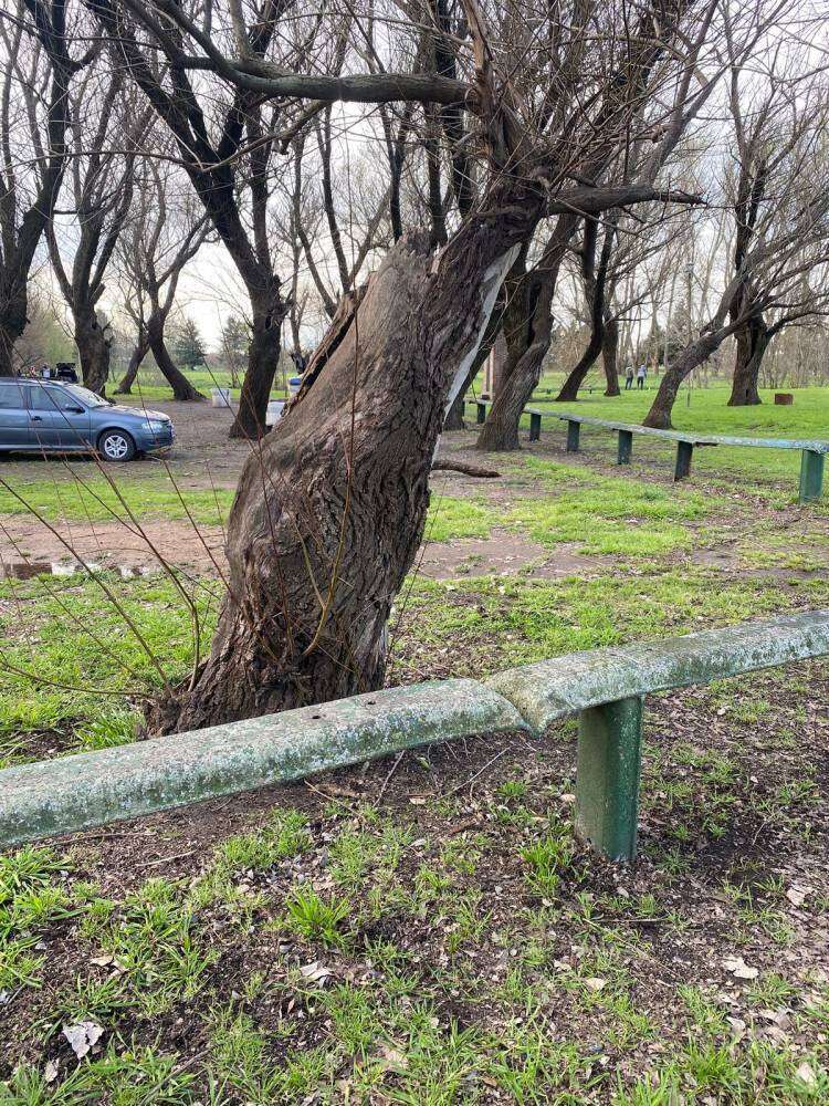 Balneario municipal Samuel Davies, entre la desidia y el abandono