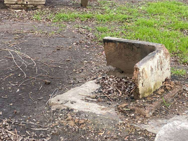 Balneario municipal Samuel Davies, entre la desidia y el abandono