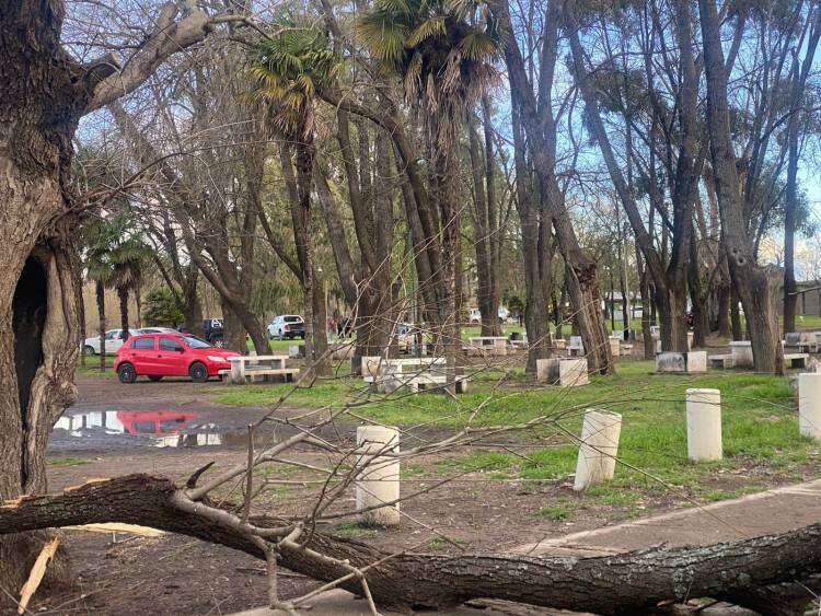 Balneario municipal Samuel Davies, entre la desidia y el abandono