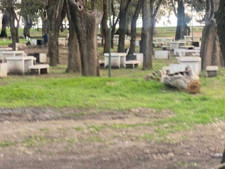 Balneario municipal Samuel Davies, entre la desidia y el abandono