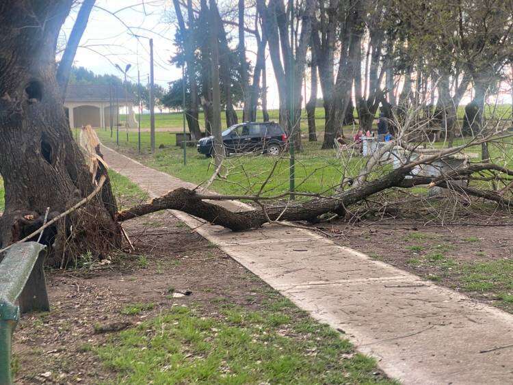 Balneario municipal Samuel Davies, entre la desidia y el abandono