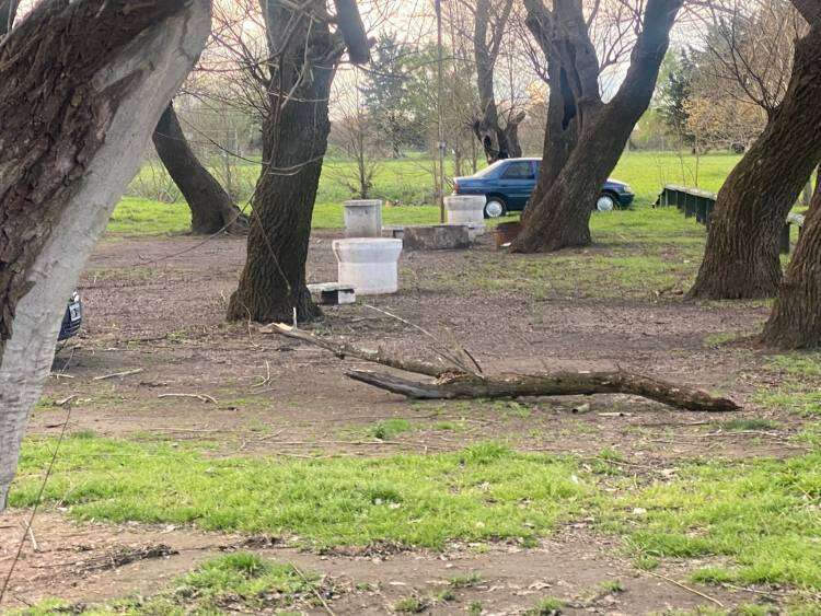 Balneario municipal Samuel Davies, entre la desidia y el abandono