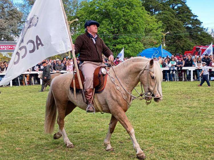 El colorido de los Jinetes y Grandes campeones en fotos