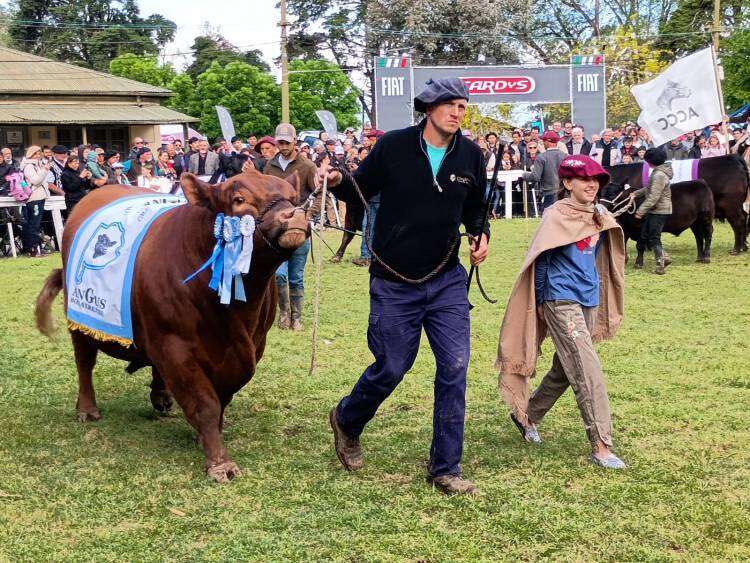 El colorido de los Jinetes y Grandes campeones en fotos
