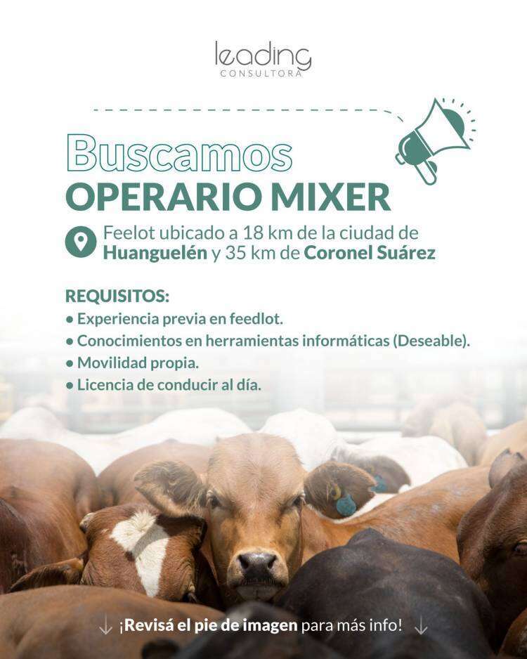 Se busca Operario de Mixer para Feedlot