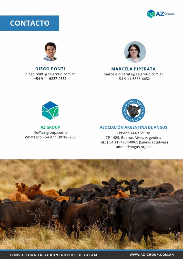 Informe Mensual Angus - Marzo 2026