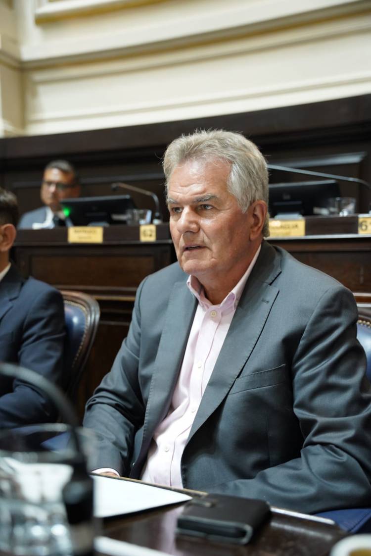 Héctor Gay: reforma constitucional: "con una sola camára se puede legislar perfectamente..."