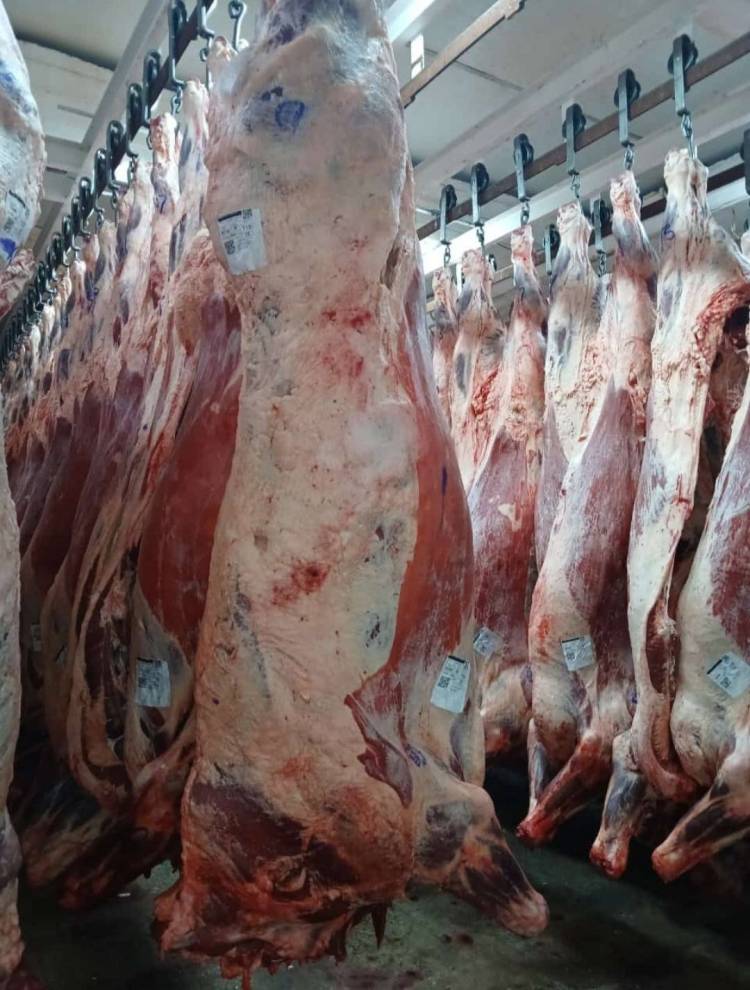 Baja el consumo de carne vacuna - “Se está notando la compra de la comida en cuotas, antes no se veía”