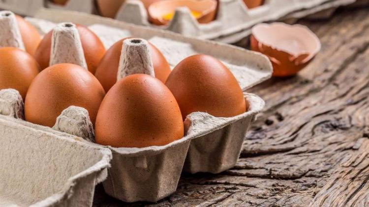 Un alimento altamente proteico, versátil y económico: El Huevo 