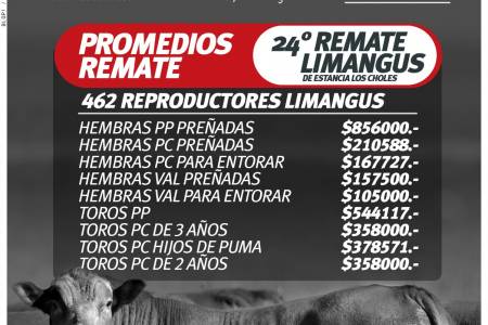 Resultados del 24º remate Limangus de Estancia Los Choles