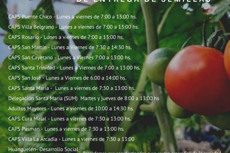 Programa ProHuerta: se entregan semillas de primavera-verano
