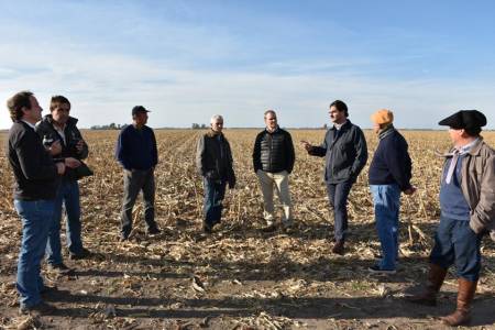 Buenos Aires: la superficie sembrada de trigo creció un 18,8%
