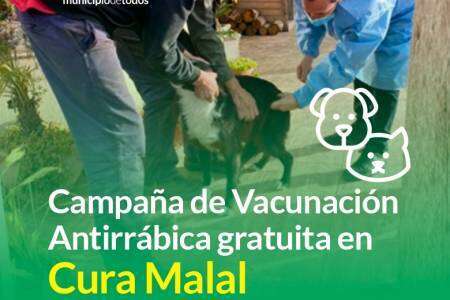 Este martes 28: Campaña de vacunación antirrábica gratuita en Cura Malal