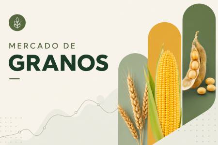 Mercado de granos