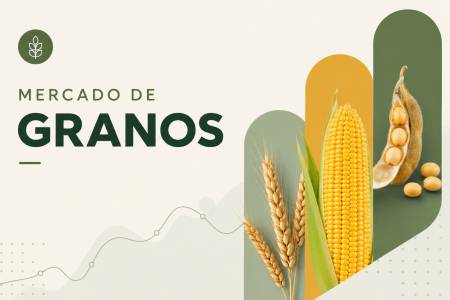 Mercado de granos