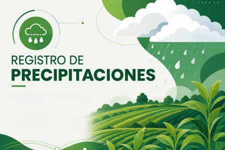 Registro de precipitaciones