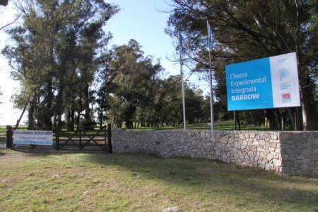 Abrió la convocatoria para becas doctorales y de entrenamiento en las Chacras Experimentales del MDA