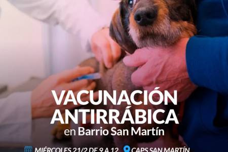 Campaña de vacunación antirrábica en Barrio San Martín