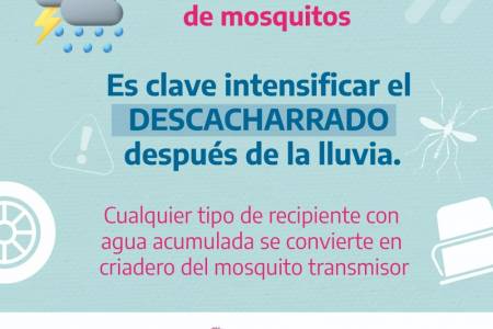 Sin mosquito no hay Dengue