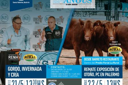 Remate televisado de Gordo, Invernado y Cría por Saenz Valiente, Bullrich y Cia. en la 81º Expo Angus Otoño Indoor