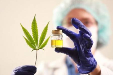“El Cannabis medicinal le transforma la vida a la gente”