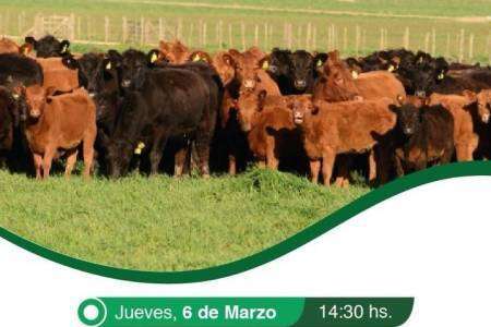 Remate de Colombo y Magliano en Coronel Suárez