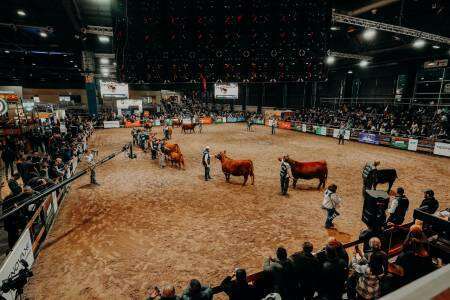 Se viene Angus de Otoño 2025: una exposición cada vez más federal