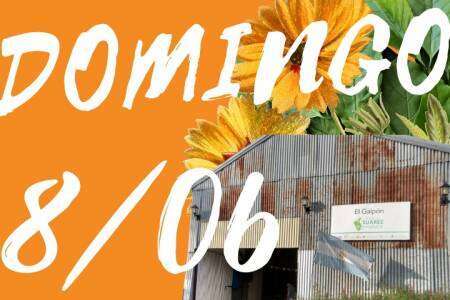 ¡Este domingo nos encontramos en el Galpón!