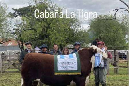 La Tigra obtuvo el primer premio en Gran Campeón Macho PP